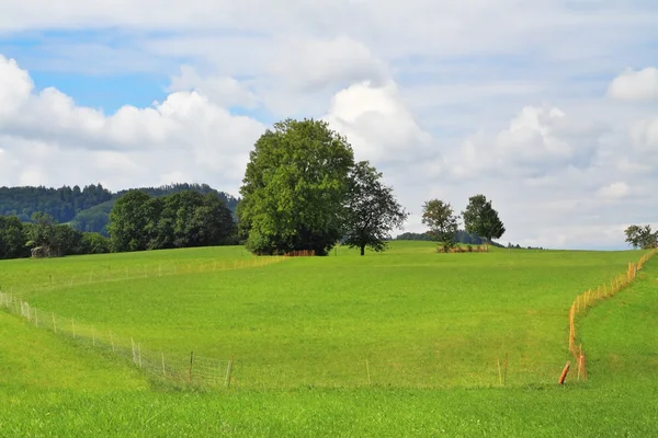 Lovely green lawns — Stock Photo, Image