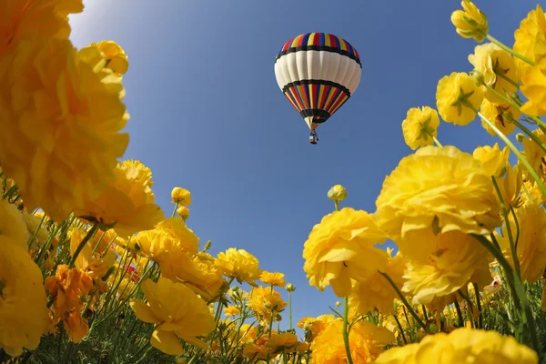 Uçan çok renkli balon — Stok fotoğraf