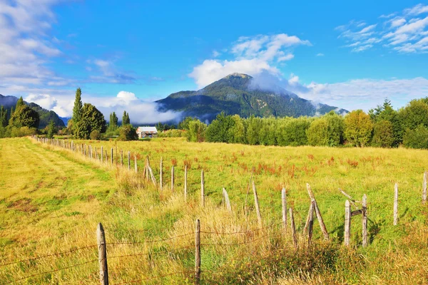 Campo verde — Fotografia de Stock