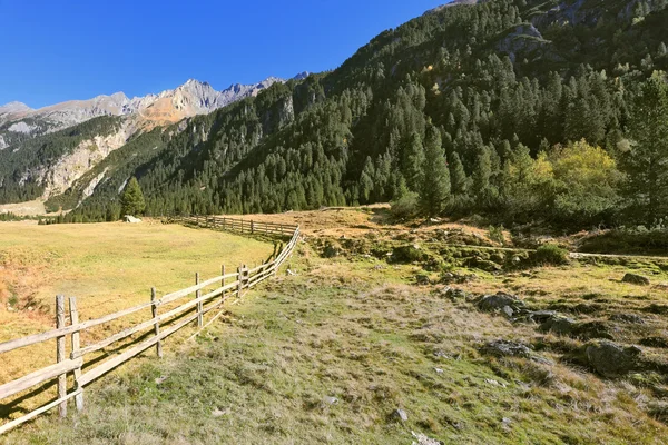 Alpejskie doliny w Austrii — Zdjęcie stockowe