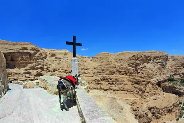 Yol kenarında eşek bir kırmızı at-kumaş için bağlı — Stok fotoğraf