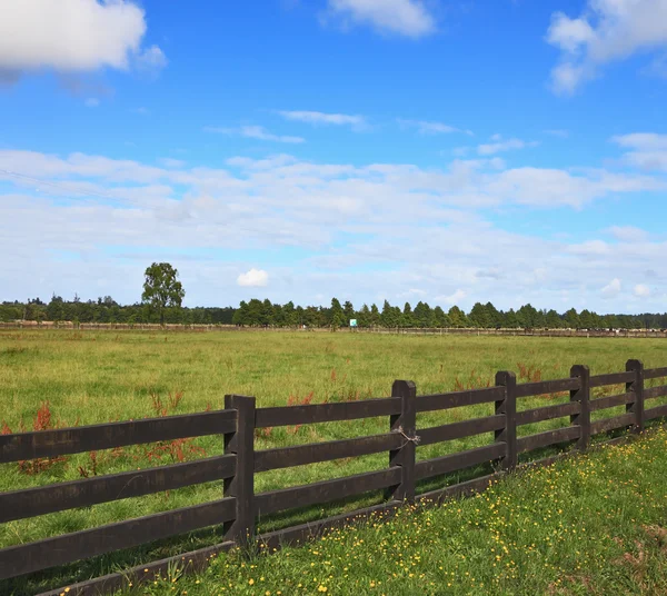 Equal grassy farmer field — Stock Photo, Image