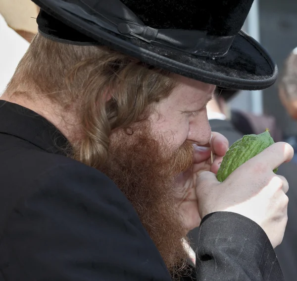 Religious Jew examines citrus — Stock Photo, Image