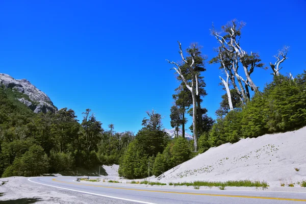 Vägen i bergen i Patagonien — Stockfoto