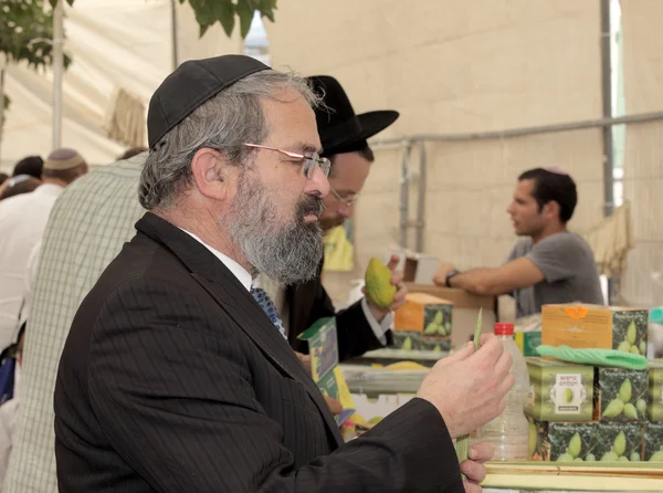 Religious Jew chooses ritual plant — Stock Photo, Image