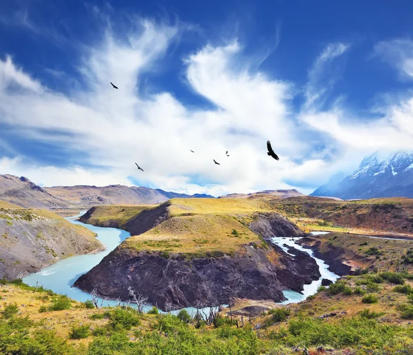 Nationalparken torres del paine — Stockfoto