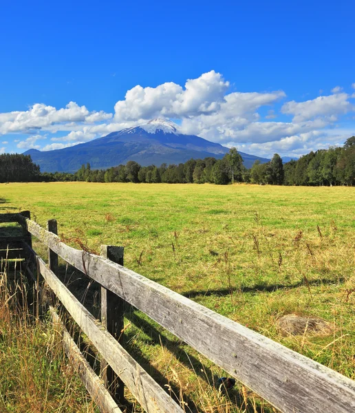 Rural field and high mountain on horizon — Stock Photo, Image