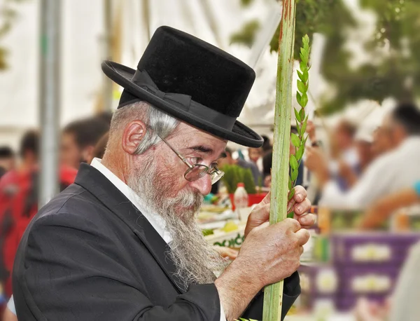 Γκρι-γενειοφόρος Εβραίος σε μαύρο καπέλο — Φωτογραφία Αρχείου