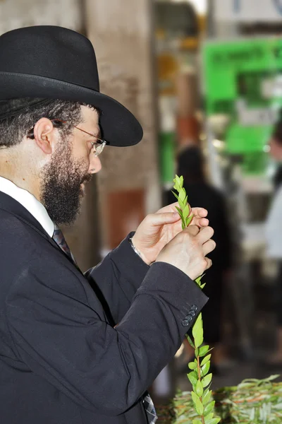 Mladý muž se rozhodne rituální rostlina — Stock fotografie