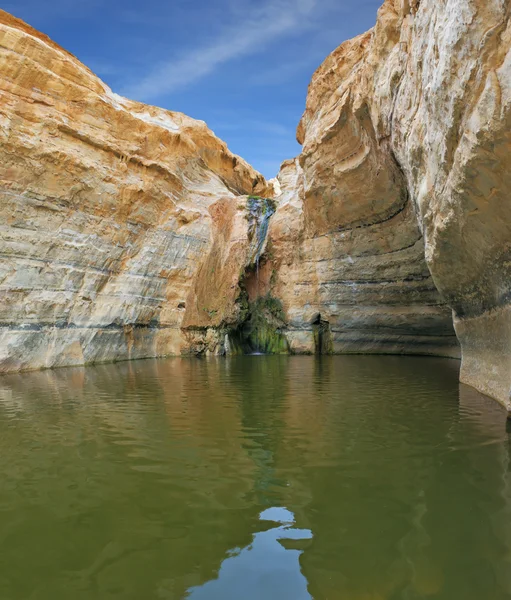 Zandsteen canyon muren vorm ronde kom — Stockfoto