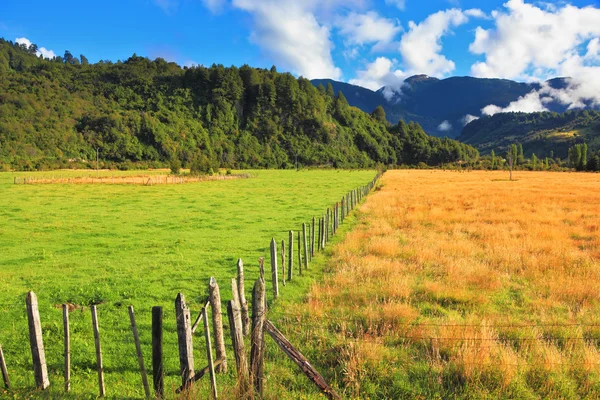 Landsbygden i chilenska Patagonien — Stockfoto