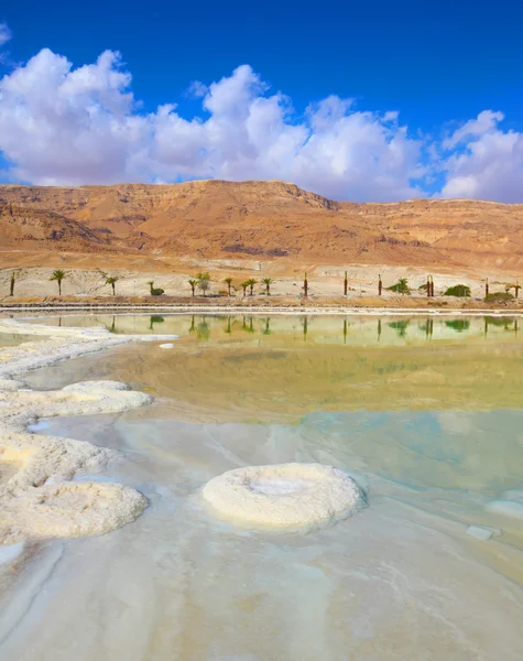 Ölü Deniz kıyılarındaki — Stok fotoğraf