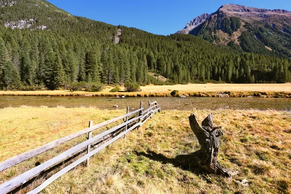 Vale alpino na Áustria — Fotografia de Stock