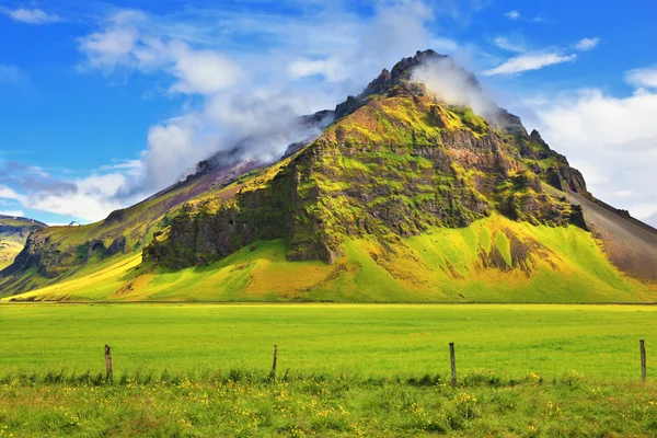 Ljust grön blommig och jordbruksmark — Stockfoto