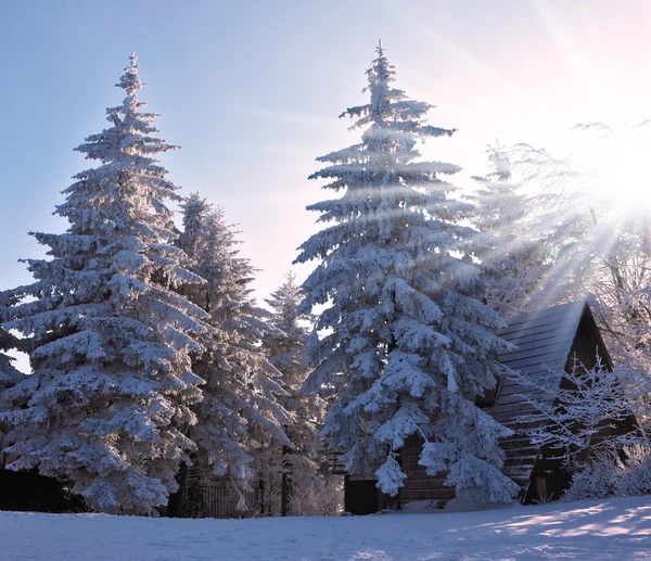 Kerstochtend op skiresort — Stockfoto