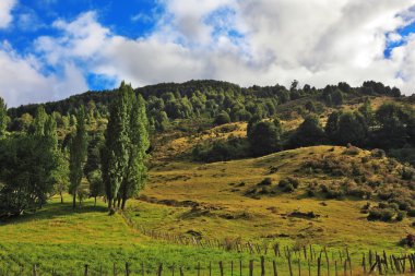Alçak tepeler çim ile büyümüş