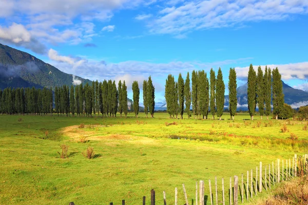 Ao longo dos campos verdes avenidas — Fotografia de Stock