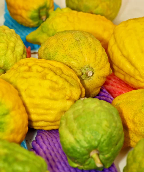 Cítricos de frutas rituales — Foto de Stock