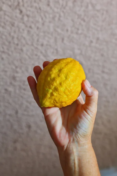 Etrog bir kadın elinde narenciye — Stok fotoğraf