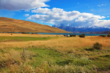 Muhteşem göl Laguna Azul