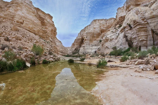 Magnificent canyon and creek — Stock Photo, Image