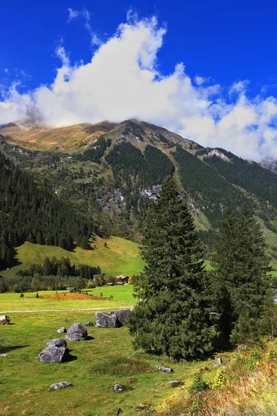 Início do Outono nos Alpes Austríacos — Fotografia de Stock