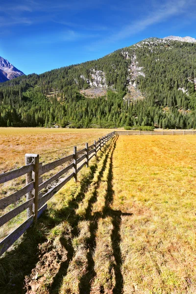 Scenic farm valley in Austria — Stock Photo, Image