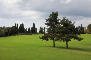 park-Bahçe sigurta İtalya.