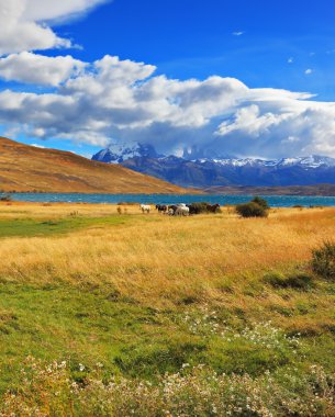 Laguna Azul gününde
