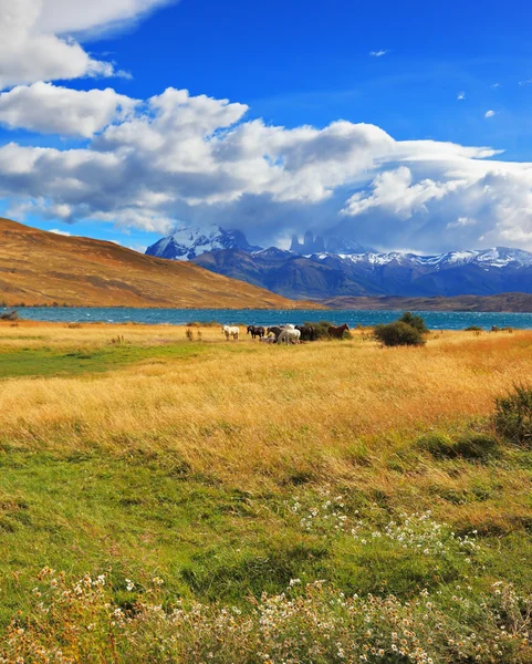 Der Tag auf der Laguna Azul — Stockfoto