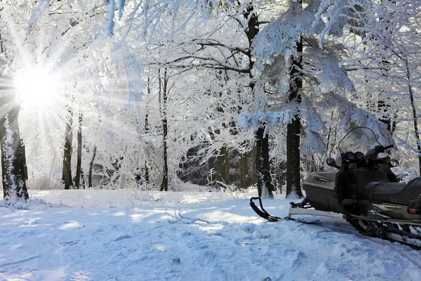 Снегоход на лесной лыжне — стоковое фото