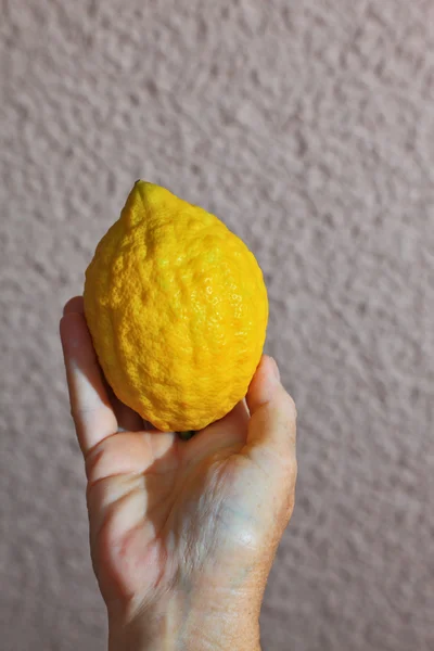 Frutto rituale - etrog — Foto Stock