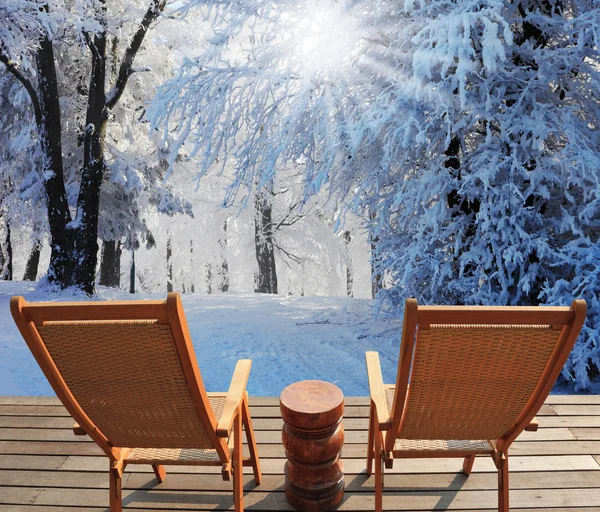 De winterzon December — Stockfoto