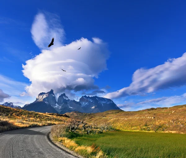 Boven de vallei vliegen kudde van Andes condors — Stockfoto