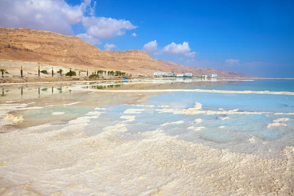 The coast of the Dead Sea — Stock Photo, Image