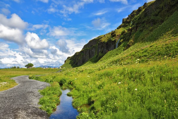 Groene weiden en duidelijk streams. — Stockfoto