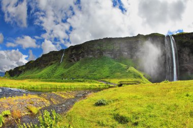 Selyalandfoss Şelalesi ve çiçekli alanları