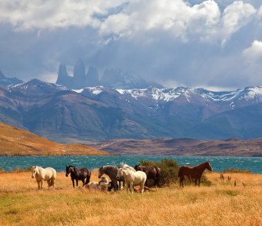 Atları Gölü Laguna Azul yakınındaki