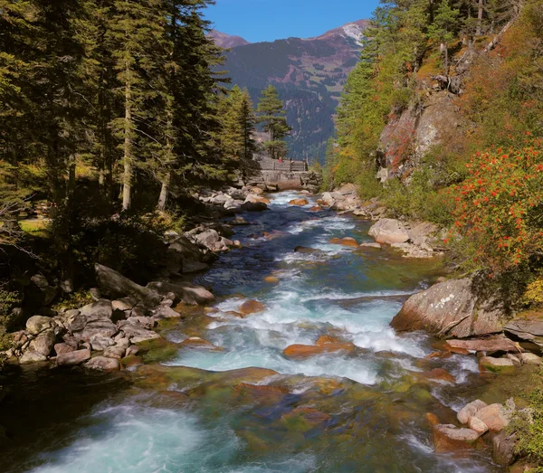 Pastoral in the Alpine mountain valley — Stock Photo, Image