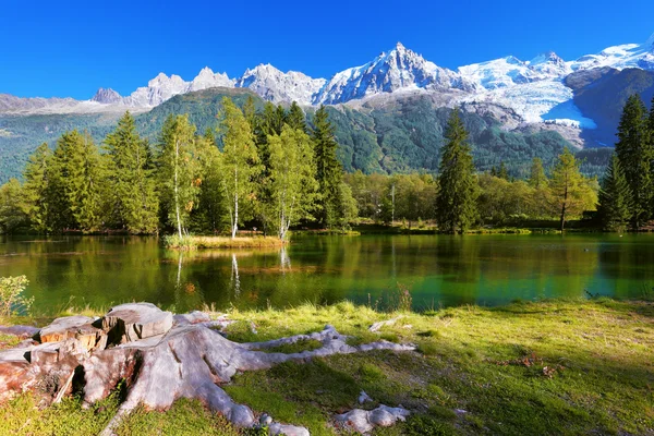 Lago frio cercado por árvores — Fotografia de Stock