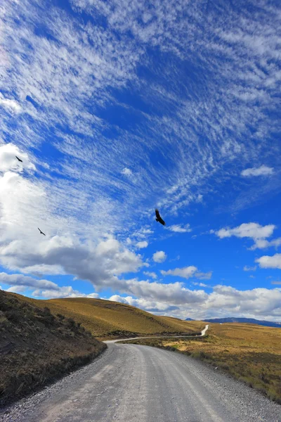 Gravel road crosses park Torres del Paine — Stock Photo, Image