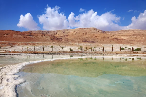 Israeli coast of the Dead Sea — Stock Photo, Image