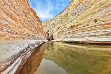 İsrail - Ein Avdat benzersiz Kanyon