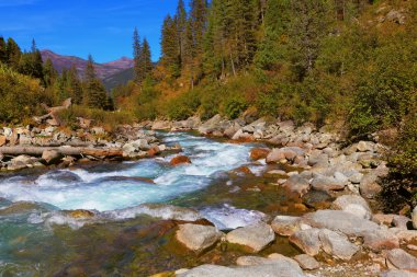 Pastoral Alp akışı 