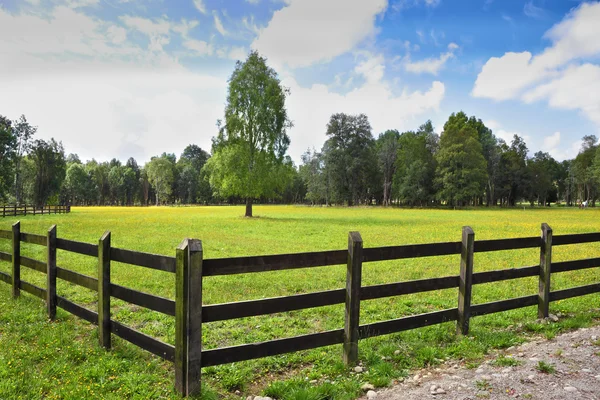 The field fenced with low strong fence — Stock Photo, Image