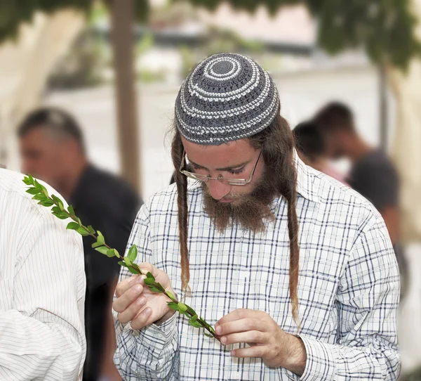 Jovem judeu religioso em crânio cinza — Fotografia de Stock