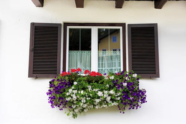 Pittoresca finestra con vasi di fiori — Foto Stock