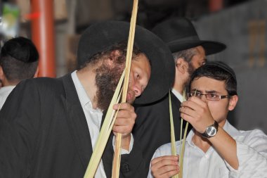 Sakallı orta yaşlı adam