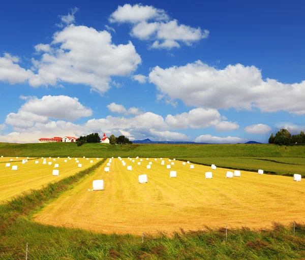 Big field with haystacks — Stock Photo, Image