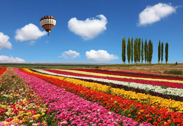 Luchtballon vliegen over veld. — Stockfoto